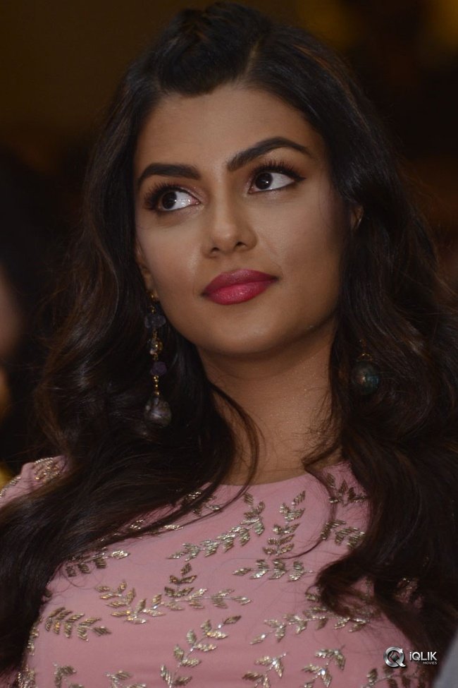 Anisha-Ambrose-At-Okkadu-Migiladu-Movie-Pre-Release-Function